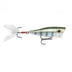 Big Rock Sports Storm Arashi Cover Pop Hard Baits