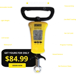 Catch Commander Fishing Best Sellers Catch Commander Tournament Culling Scales