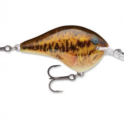 Big Rock Sports Hard Baits Rapala DT 6