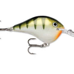 Big Rock Sports Hard Baits Rapala DT 10