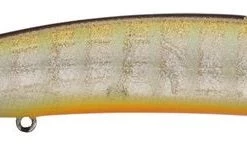 Megabass Of America MEGABASS ITO SHINER Hard Baits