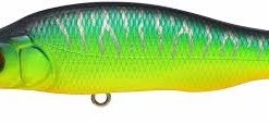 Megabass Of America MEGABASS X-80 TRICK DARTER