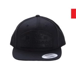 Megabass Of America Apparel MEGABASS PSYCHIC SNAPBACK HAT