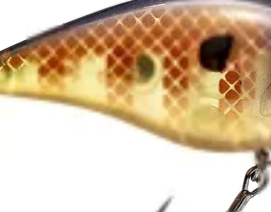 Strike King KVD 2.5 Wakebait Hard Baits 2 Strike King KVD 2.5 Wakebait Hard Baits