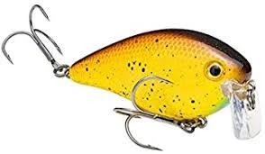 Strike King KVD 2.5 Wakebait Hard Baits 8 Strike King KVD 2.5 Wakebait Hard Baits