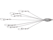 0 HOGFARMER BAITS CALI CRUSH RIG Umbrella Rigs