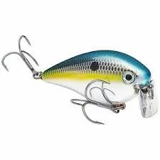 Strike King KVD 2.5 Wakebait Hard Baits 3 Strike King KVD 2.5 Wakebait Hard Baits