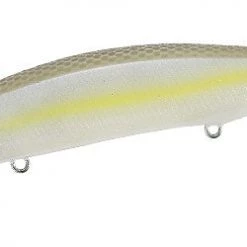 Hard Baits Duo Realis Jerkbait 110SP