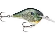 Big Rock Sports Hard Baits Rapala DT 6