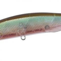 Duo Realis Jerkbait 100SP