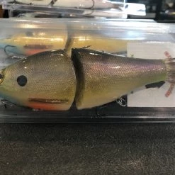 Tackle Shack Middlebury C-Flash Baits J-Glide