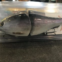 Tackle Shack Middlebury C-Flash Baits J-Glide