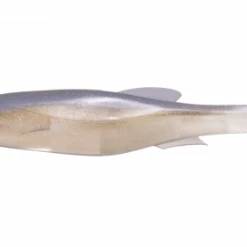 Megabass Of America Megabass Magdraft Freestyle (6in)