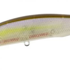 Duo Realis Jerkbait 100SP