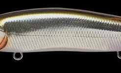 Megabass Of America Hard Baits MEGABASS VISION 110 +1