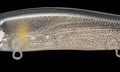 Megabass Of America Hard Baits MEGABASS VISION 110 +1