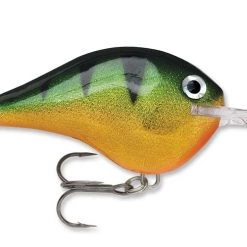 Big Rock Sports Hard Baits Rapala DT 10
