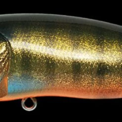 Megabass Of America Hard Baits MEGABASS POPMAX