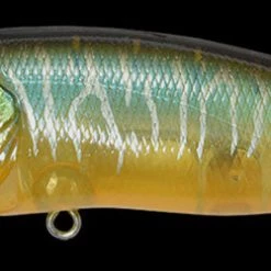 Megabass Of America Hard Baits MEGABASS POPMAX