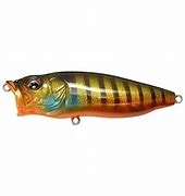 Megabass Of America MEGABASS POPX Hard Baits 6 Megabass Of America MEGABASS POPX Hard Baits