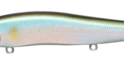 Megabass Of America Hard Baits MEGABASS VISION 110 +1