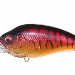 Megabass Of America MEGABASS SUPER-Z Z1