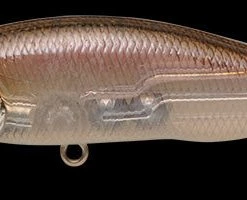 Megabass Of America MEGABASS X-80 TRICK DARTER