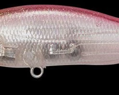 Megabass Of America MEGABASS X-80 TRICK DARTER